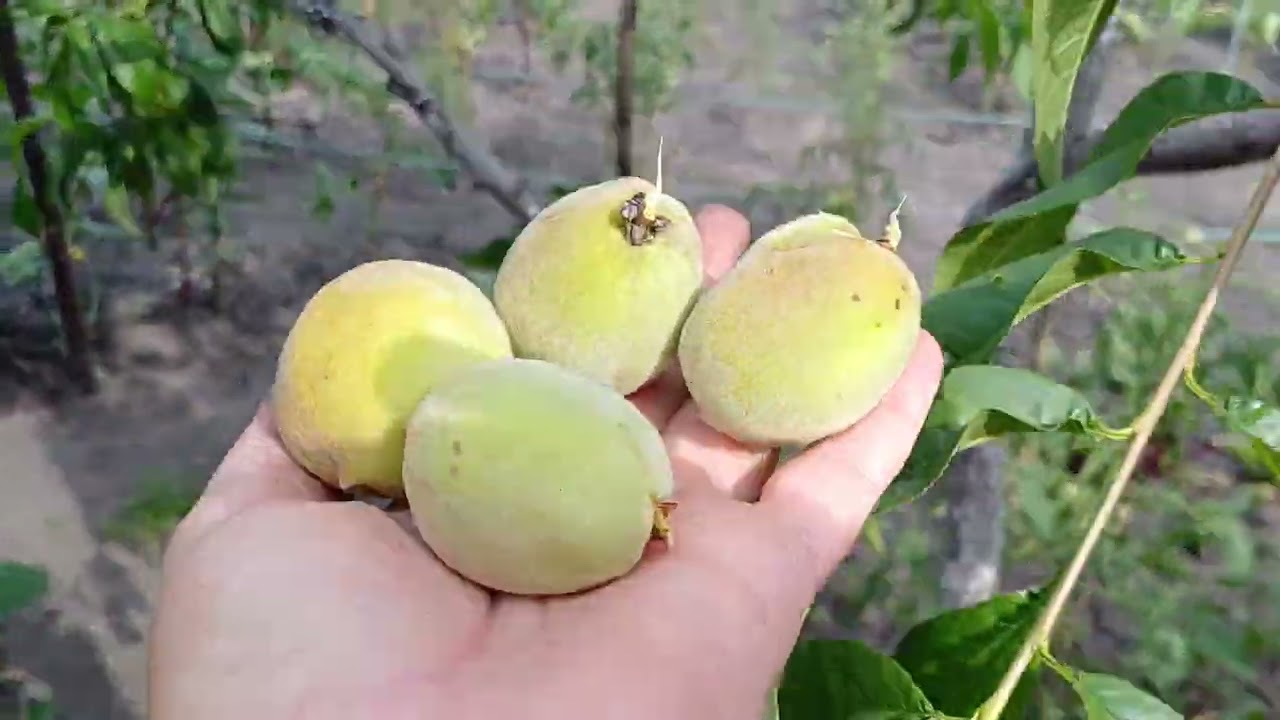 А ВИ ХІБА НЕ ПОРУЧ???