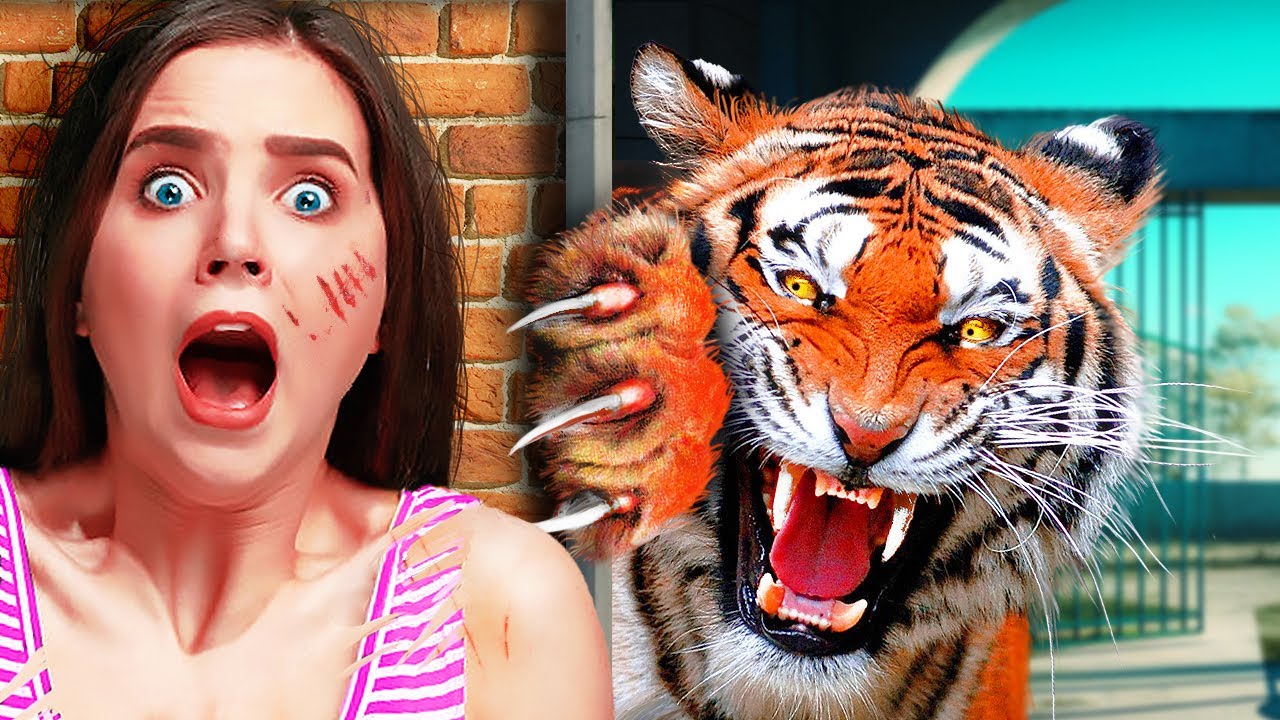 Quand des Humains Insolents se font Punir par des animaux