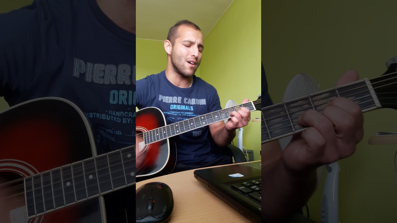 Dívka s perlami ve vlasech - cover (janek)