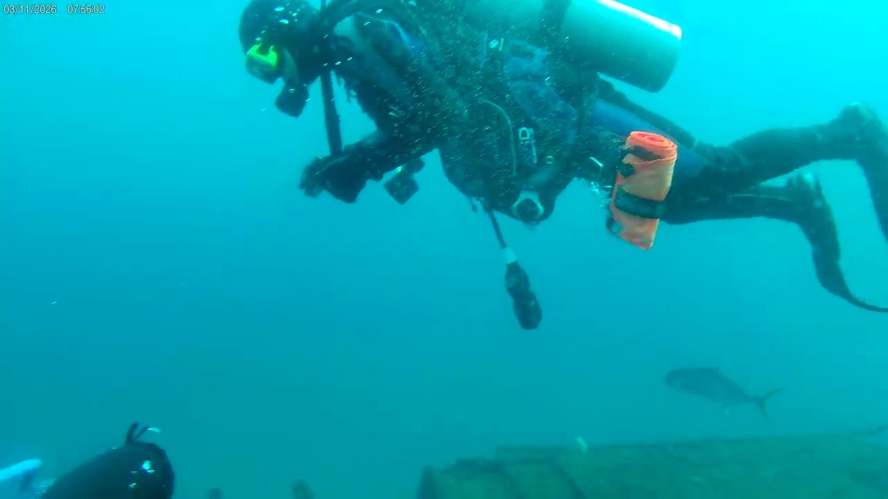red sea wreck pcb