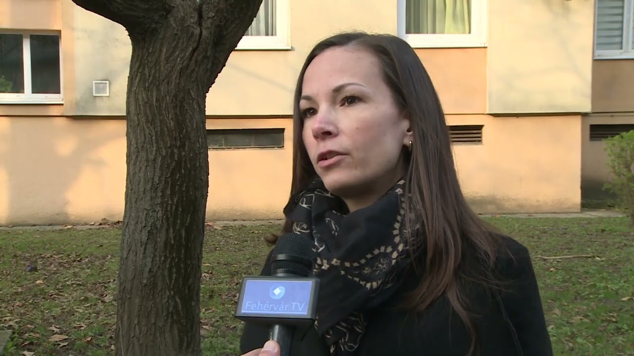 BALESETVESZÉLYES FÁKAT VÁGNAK KI