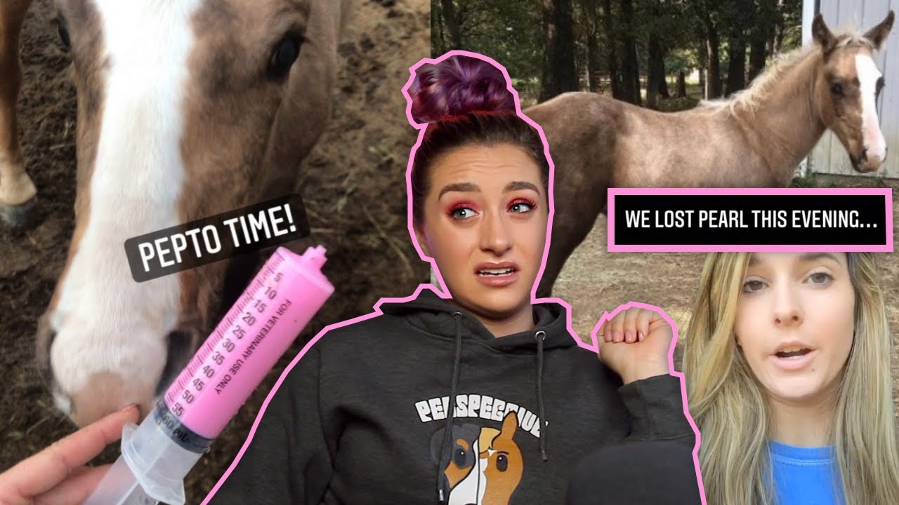 Эта наездница убила своего жеребёнка? | Raleigh Link