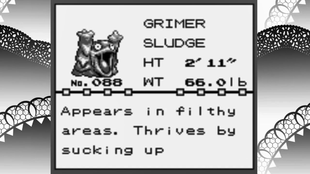 Pokemon Satin -16- A Beautiful Flower
