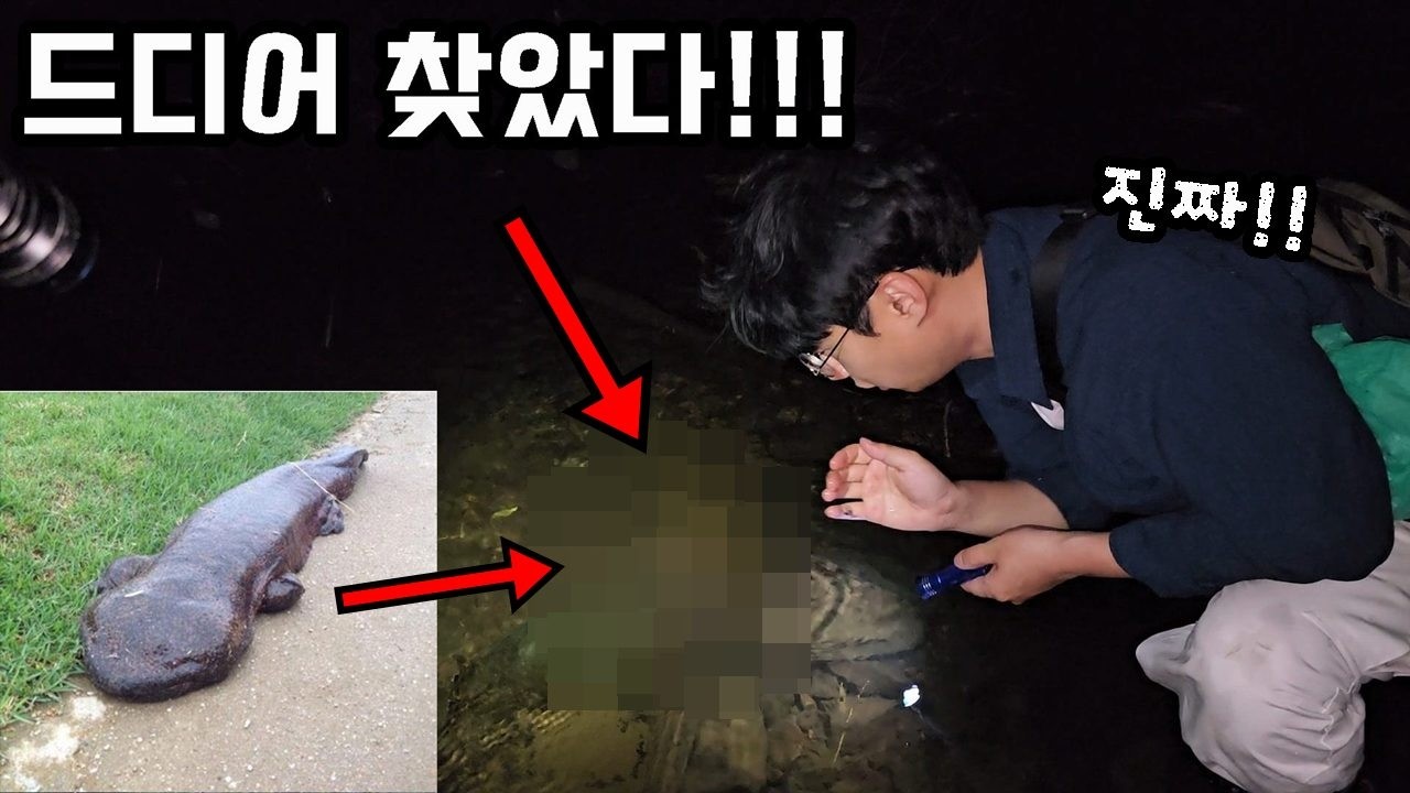 뉴스에 나오는 초거대 괴물 도룡뇽 발견했습니다..실제로 보고 경악했네요  !!