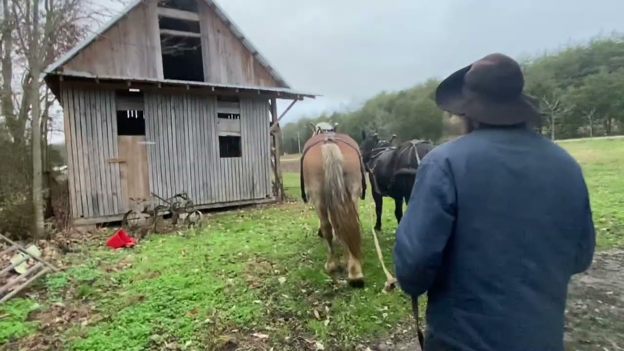 Have you chosen the diet that our Creator originally intended  for us?(Sabbath 11-22-25)Titus Morris