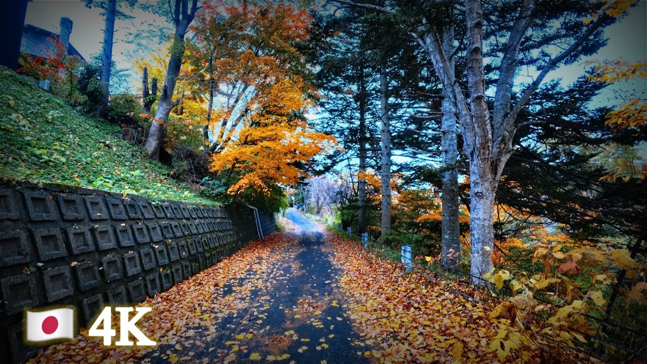 [ 4K ] Tranquil Japanese Village Walk | Hokkaido Countryside in Autumn Colors