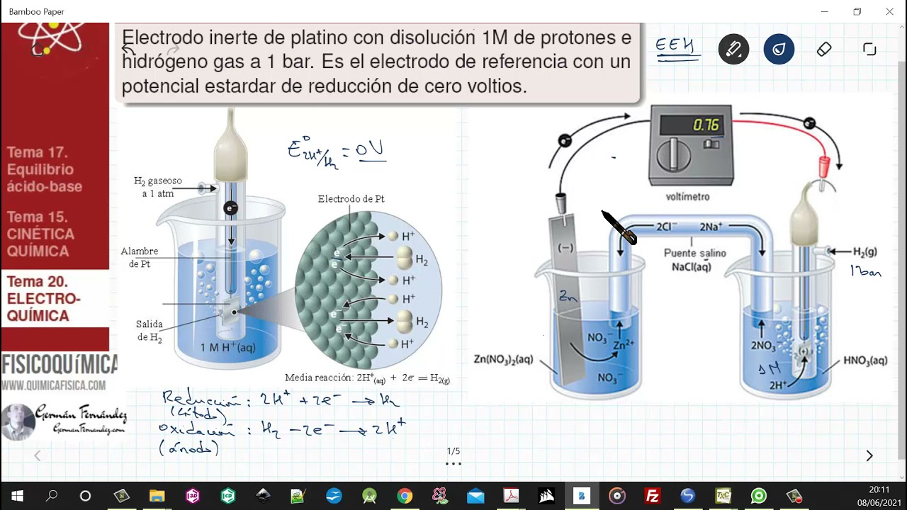 TEMA 20. ELECTROQUÍMICA | 20.2. ELECTRODO ESTÀNDAR DE HIDRÓGENO