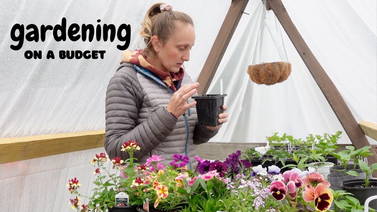 Planting flowers🌼 while I update you on work & the rental property.