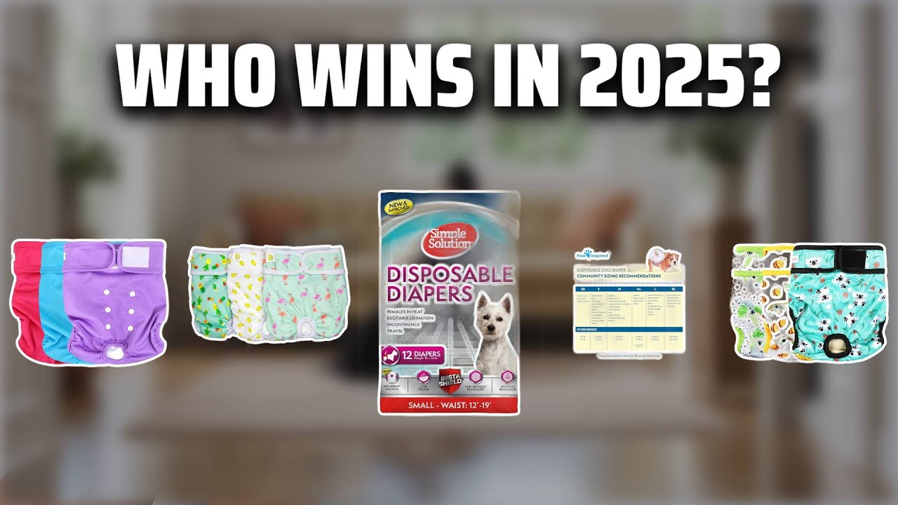 The Top 5 Best Dog Diapers in 2025 - Must Watch Before Buying!