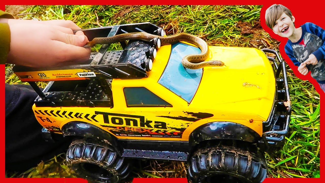 SNAKES ON TOY TRUCKS???