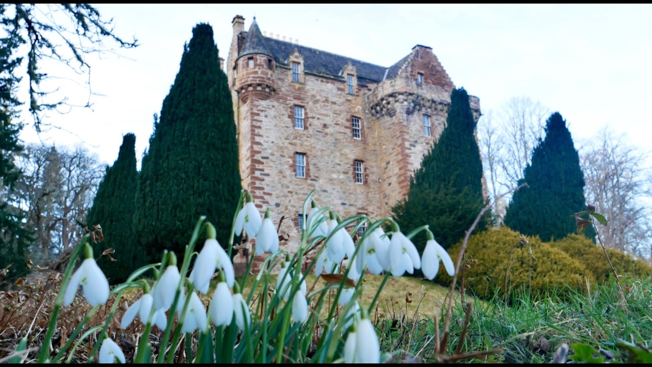 The Snowdrops at Castle Leod