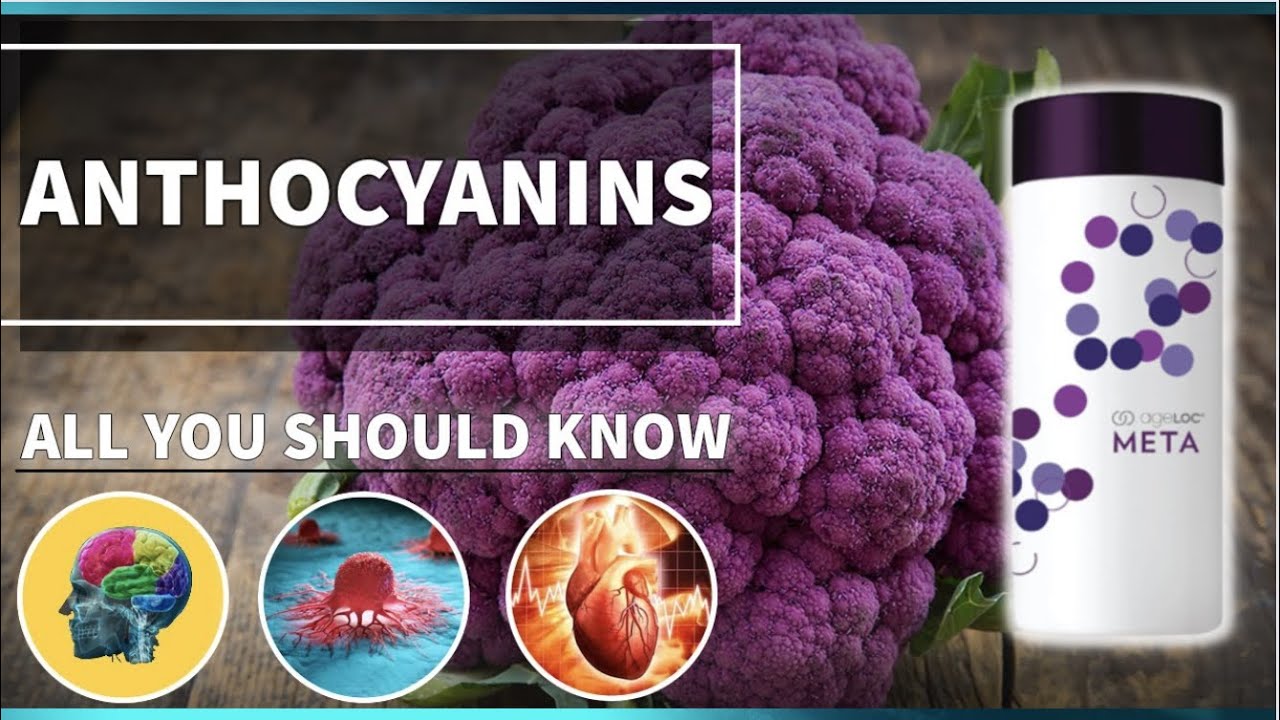 What are anthocyanins used for?