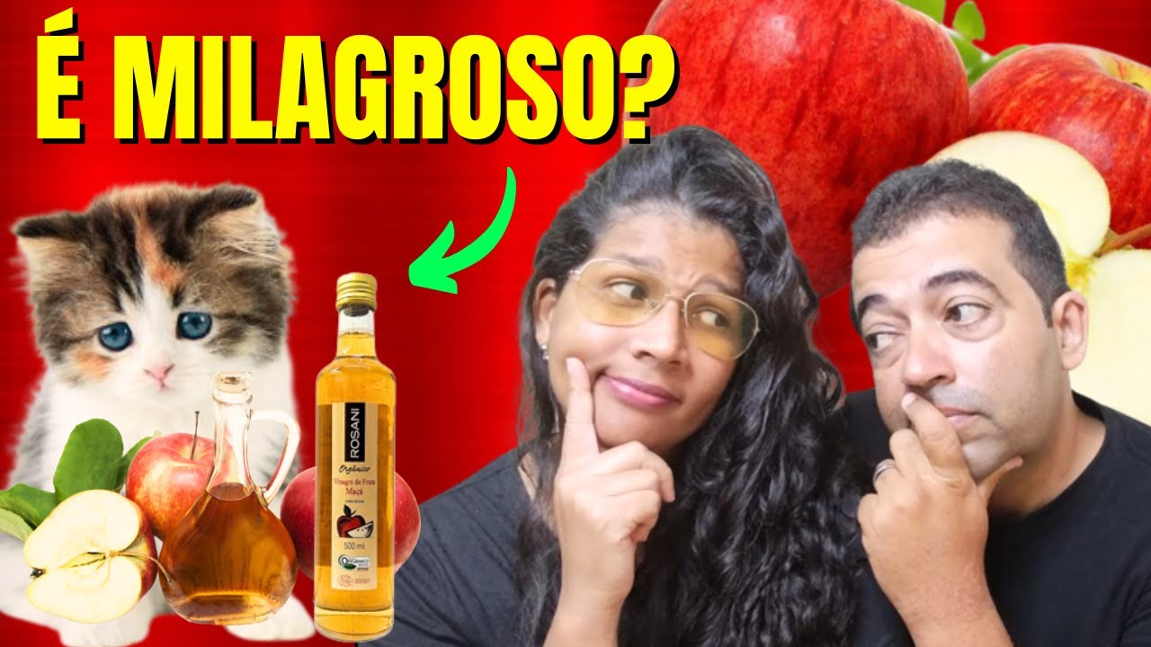 VINAGRE DE MAÇÃ PARA GATOS É CONFIAVEL MESMO