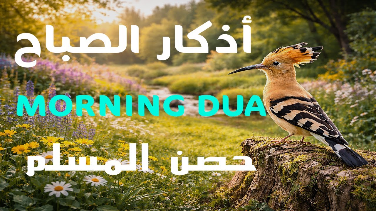 أذكار الصباح كاملة بصوت جميل💚راحة وسكينة - القارئ علاء عقل - Adkar Sabah Alaa Akl