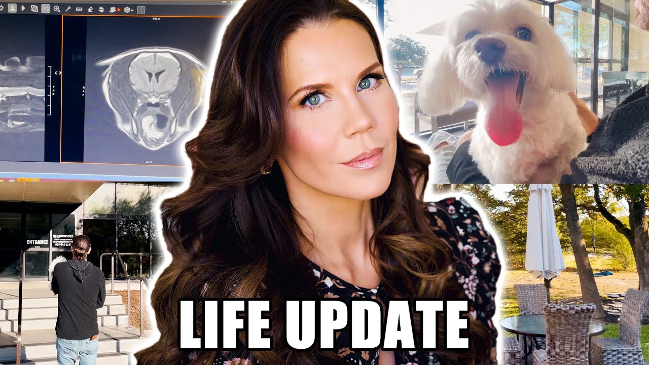 LIFE UPDATE ... Here's My Vlog 🤷🏻‍♀️