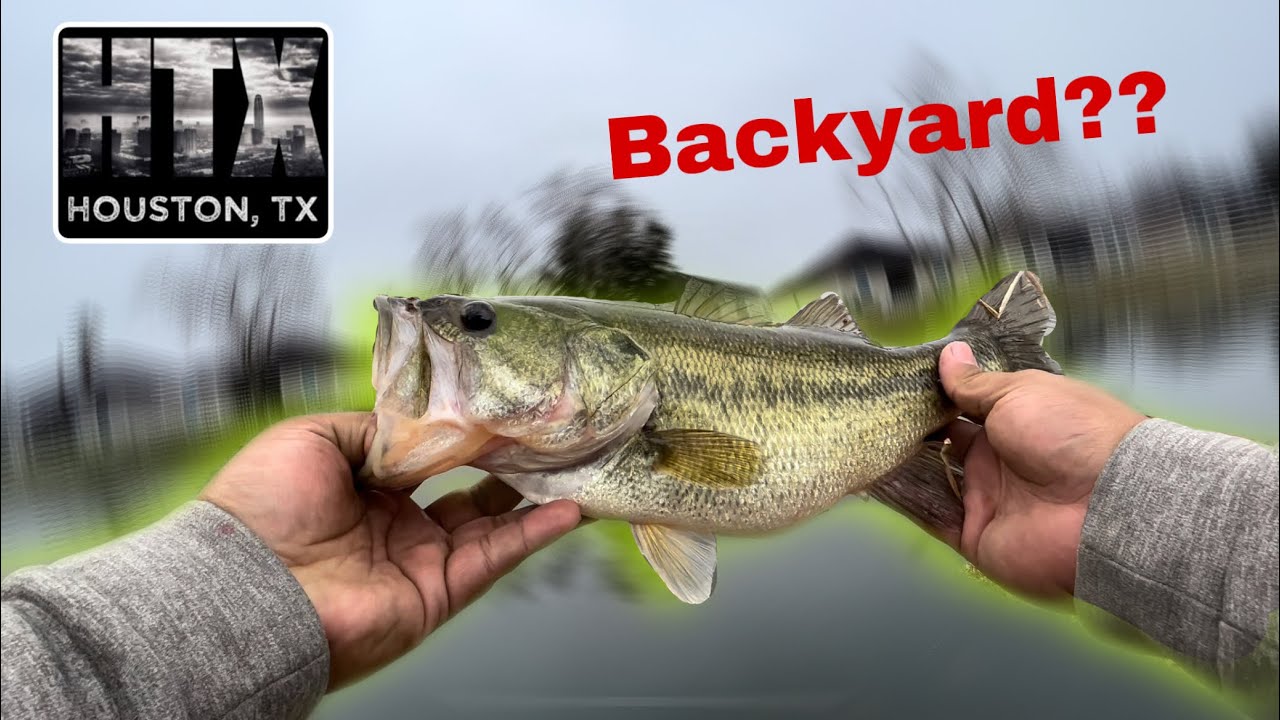 URBAN BASS FISHING HOUSTON HONEY HOLES!!!
