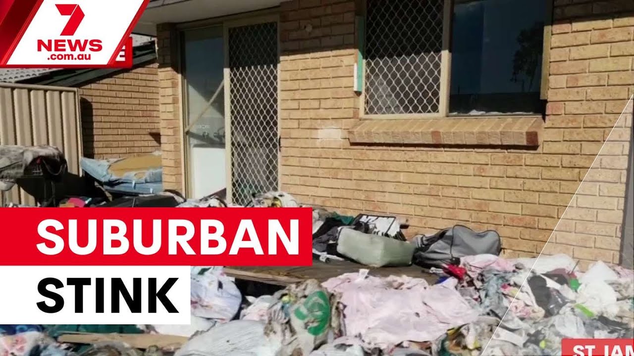 Жилье социального фонда превратилось в рассадник антисанитарии | 7NEWS