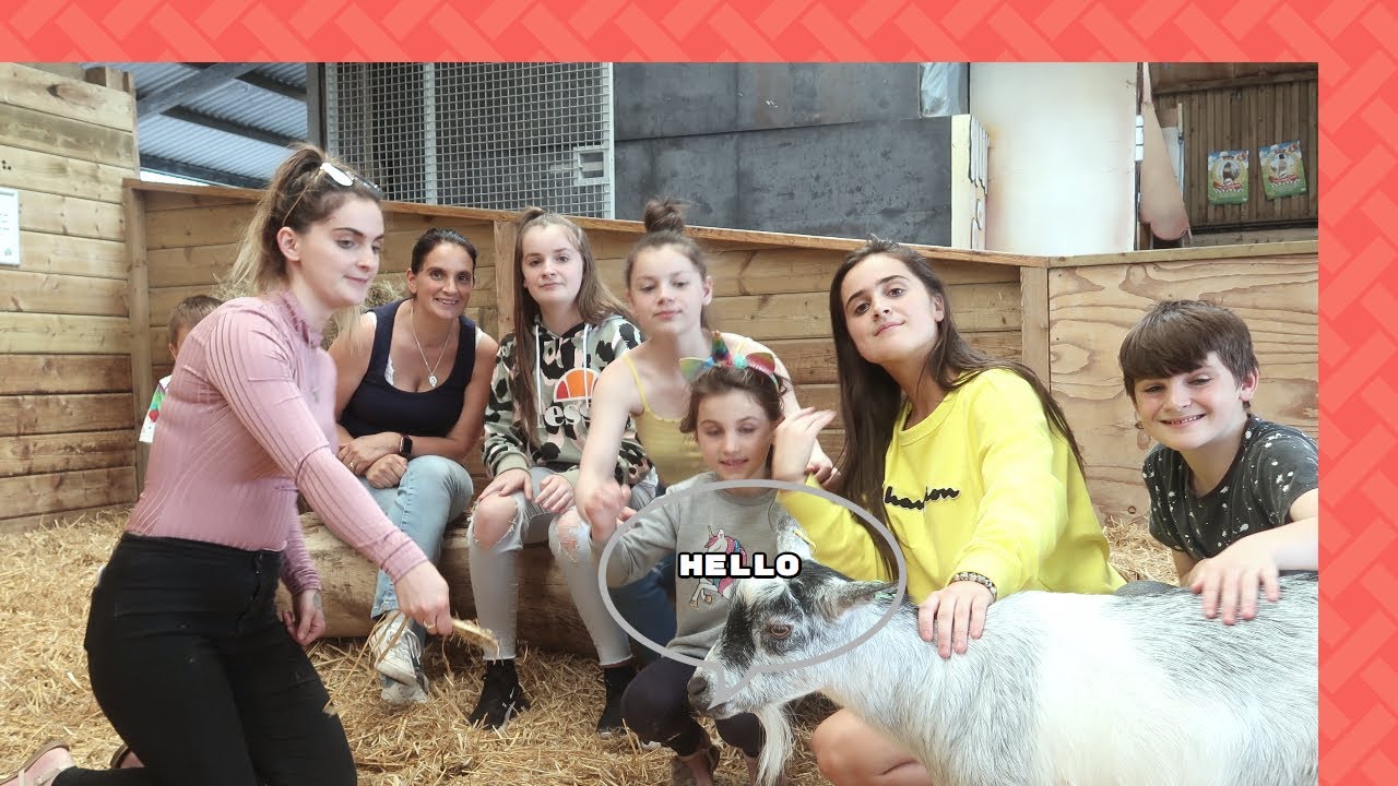 Phoebe has a new best friend Billy.