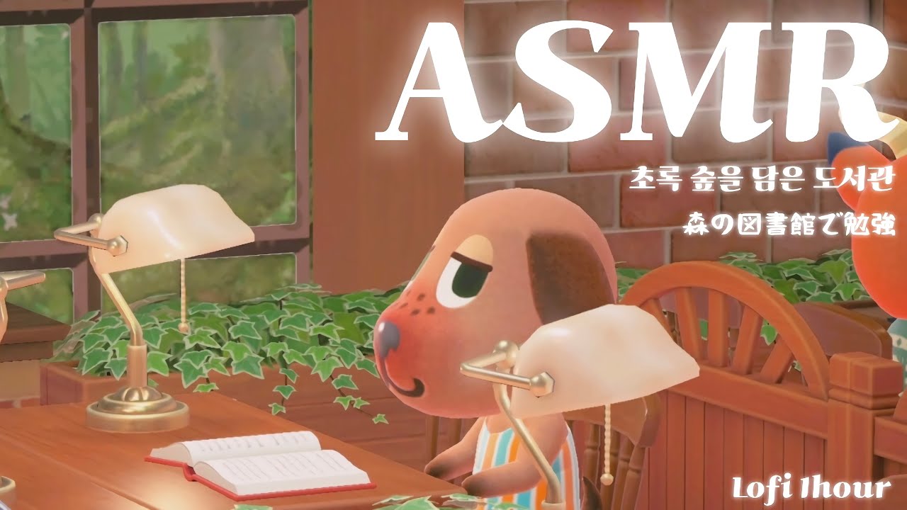 모동숲 ASMR 🌳🎧ㅣ숲속의 도서관에서 공부해요 📖ㅣ1hourㅣACNHㅣlofi