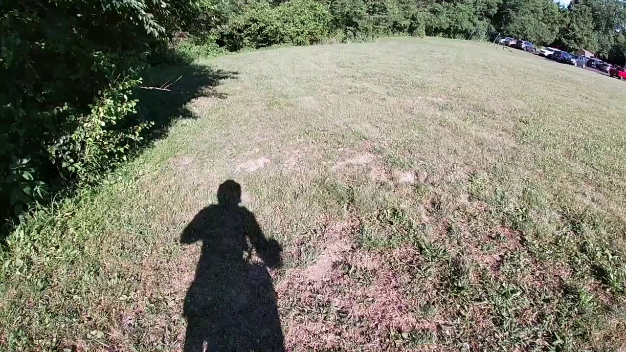 I Found A Path Through The Woods To Ride My DB14