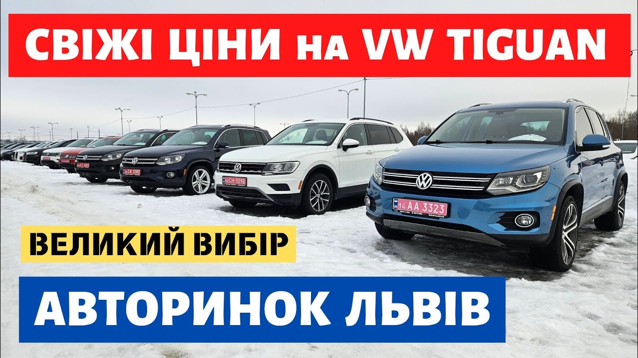 СВІЖІ ЦІНИ НА VW TIGUAN / КАРБАЗАР ЛЬВІВ / 21.02.26р #автопідбірльвів #тігуан #автопідключ