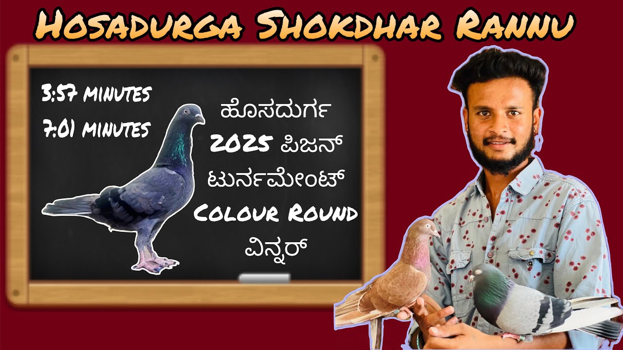 Hosadurga Youth Pigeon Fancier | Shokdar Manoj ( Rannu ) Pigeon Collection Video