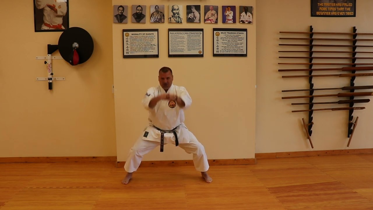 Basic Stances - Tips for training