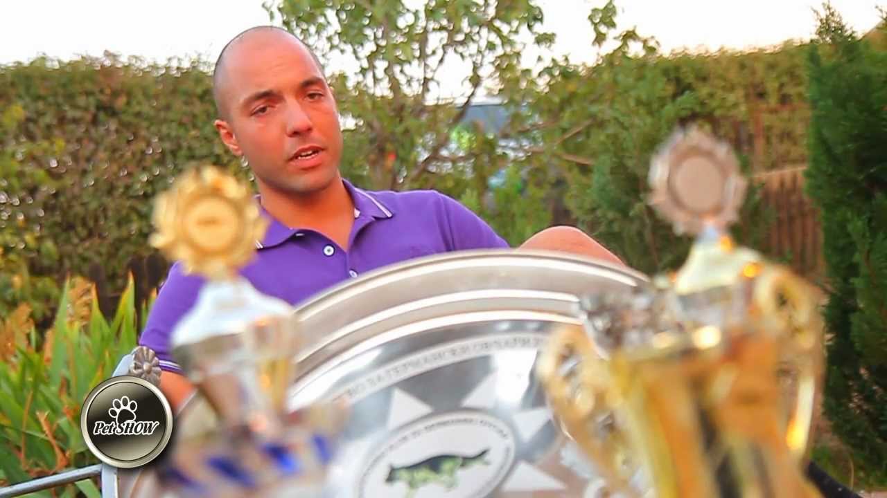 Pet Show - Pastor Gjerman