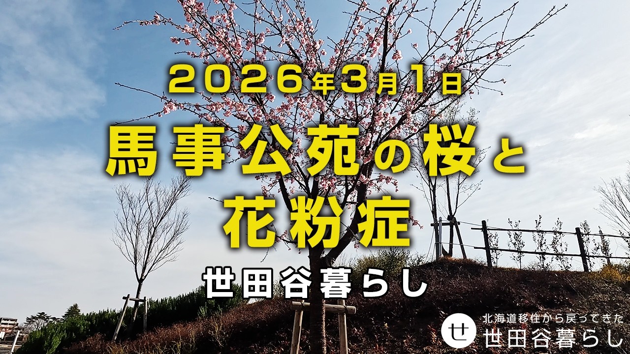 世田谷散歩｜東京はスギ花粉が猛威をふるっています。