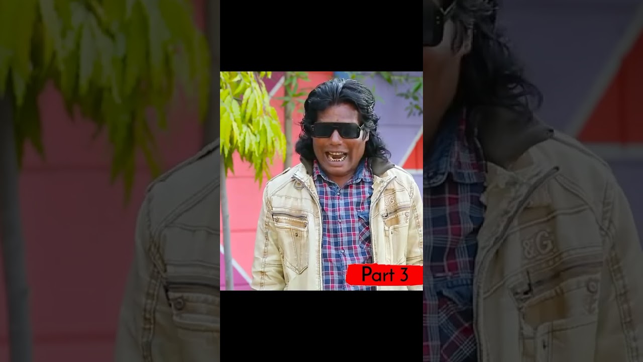 chto dada nariyal biryani wala