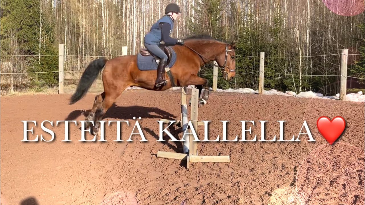 ESTEITÄ KALLELLA❤️