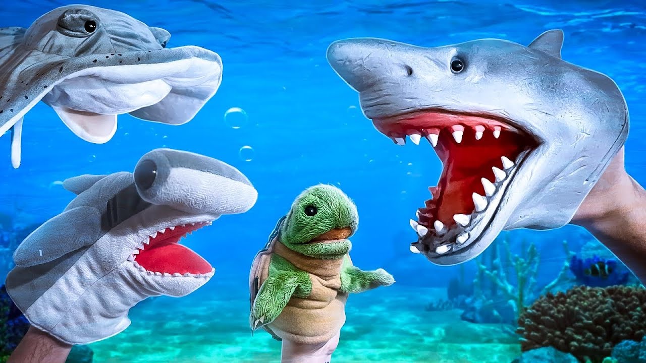 SHARK PUPPET ESCAPES FROM THE AQUARIUM!!!