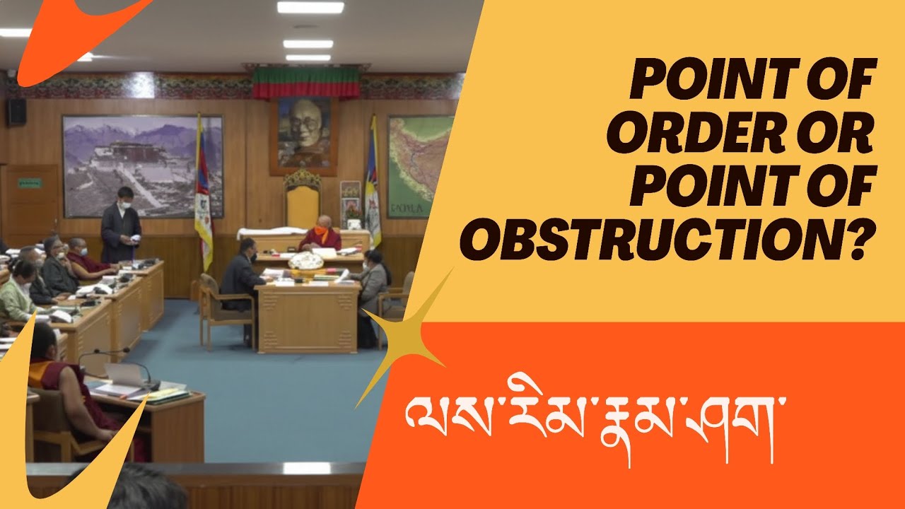 Are We Misusing Leyrim Namshak in Parliament? 