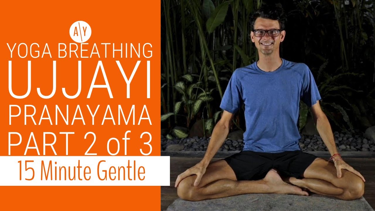 15 Minute Ujjayi Pranayama pt 2 of 3 | Yoga Breathing | Adventure Yoga with Stephen Ewashkiw