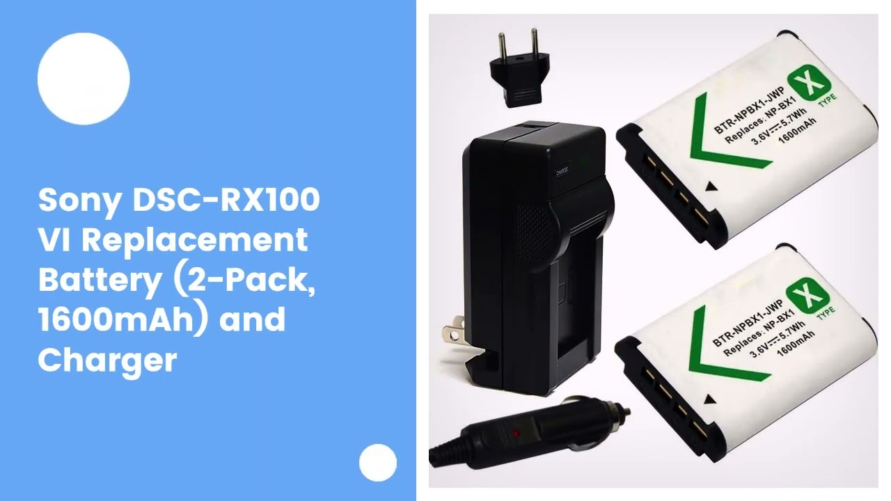 Sony DSC-RX100 VI Replacement Battery (2-Pack, 1600mAh) and Charger