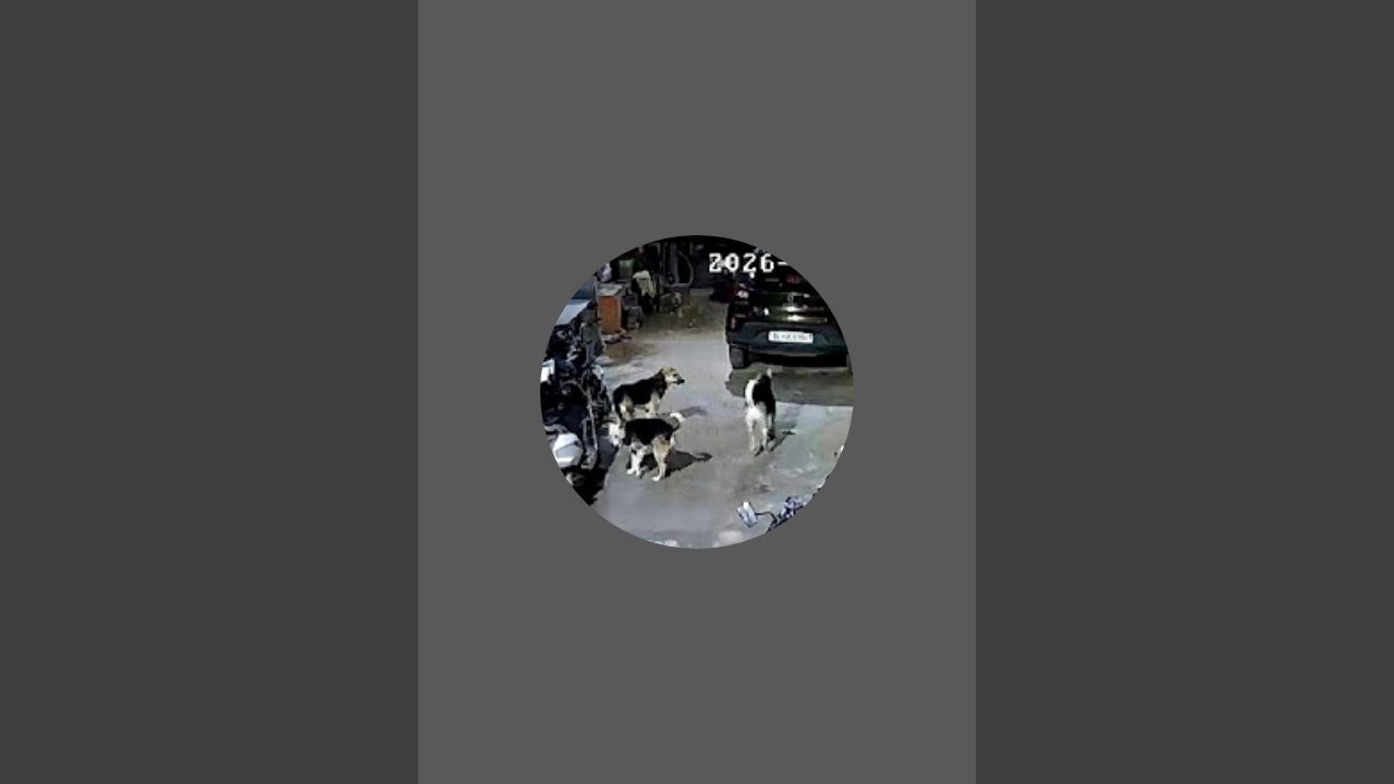 @KaaluShadow100K is live!