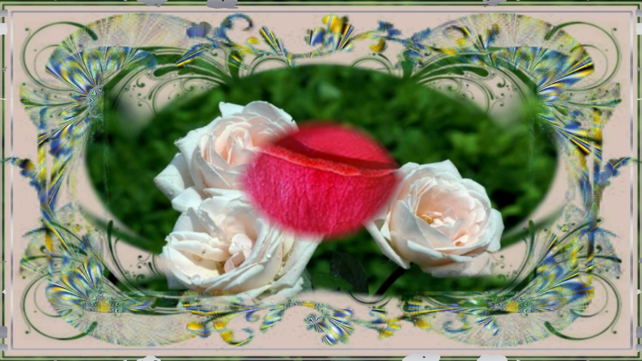 Bonne Fête des Mamans.
