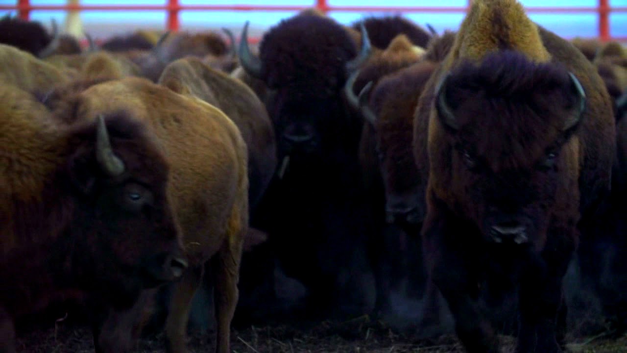 Tallgrass Prairie Preserve