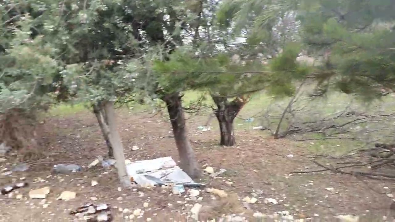 Sincan'da kamulaştırılan hobi bahçeleri talan ediliyor