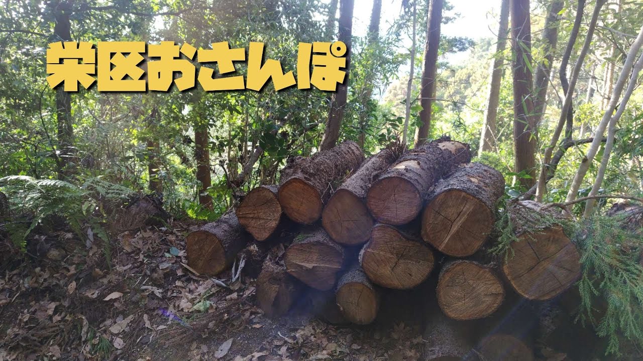 654  栄区おさんぽ　初歩き