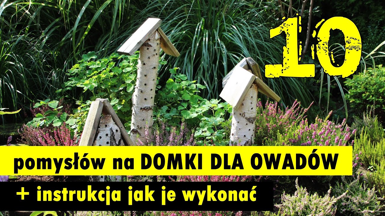 10 pomysłów na domek dla owadów