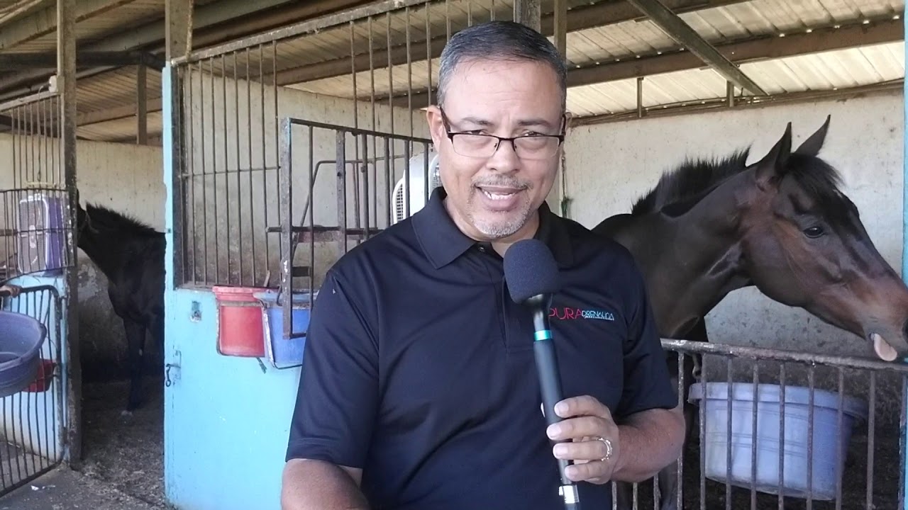 A debutar Frosty Star el 21 de enero