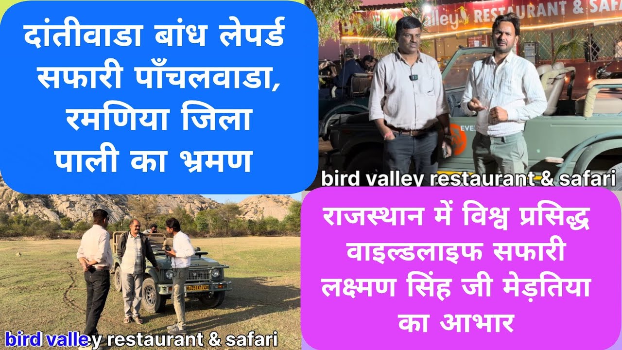 Dantiwara leopard safari district pali😍#Jawai_safari_pali#Bird_valley_restaurant_safari_pali#leopard