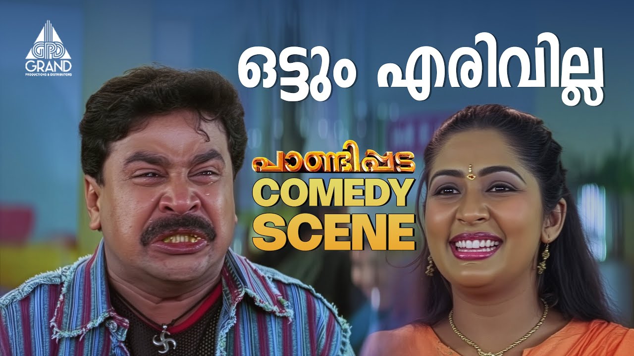 ഒട്ടും എരിവില്ല | Pandippada Comedy Scene | Dileep | Navya Nair