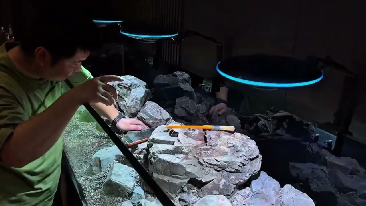 Set up a stream tank #streamtank#fish #fishtank#aquascape  #natureaquarium#水族馆#lightingmanufacturer