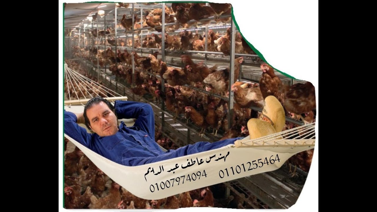 معلومتين حقليتين غاية فى الاهمية