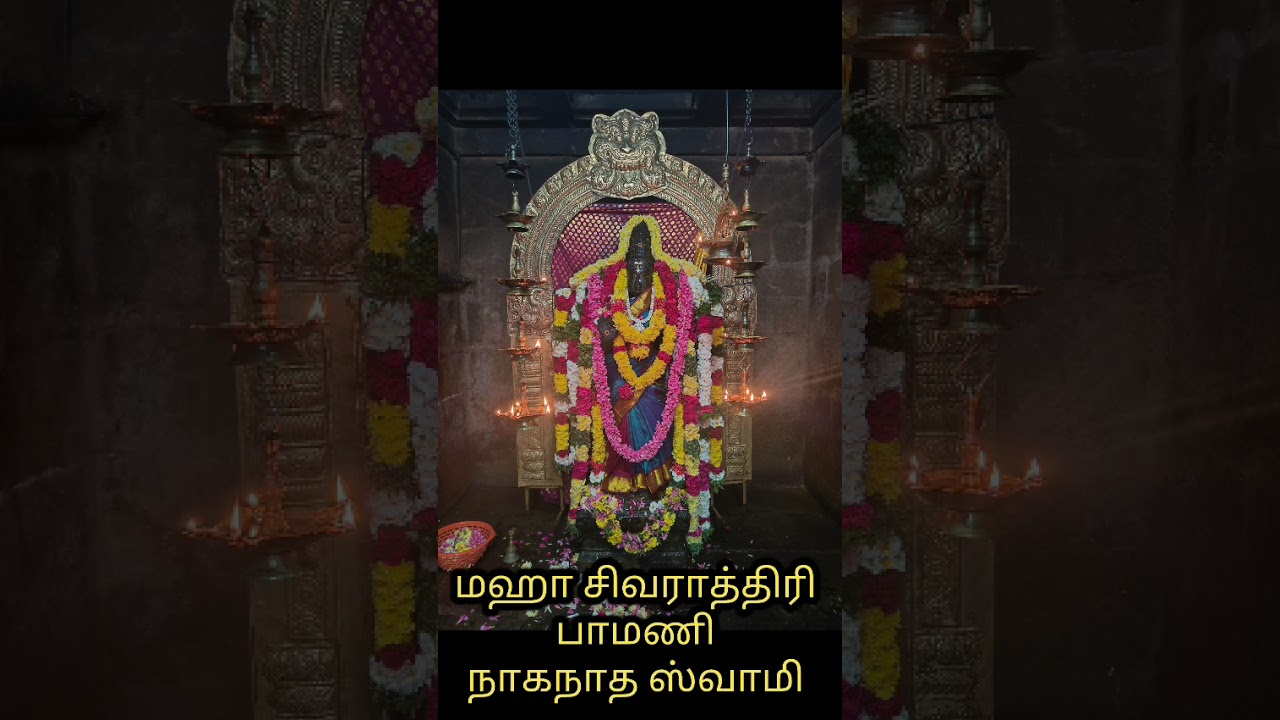 மன்னார்குடி பாமணி அ/மி நாகநாத சுவாமி 2026 மகா மஹா சிவராத்திரி 