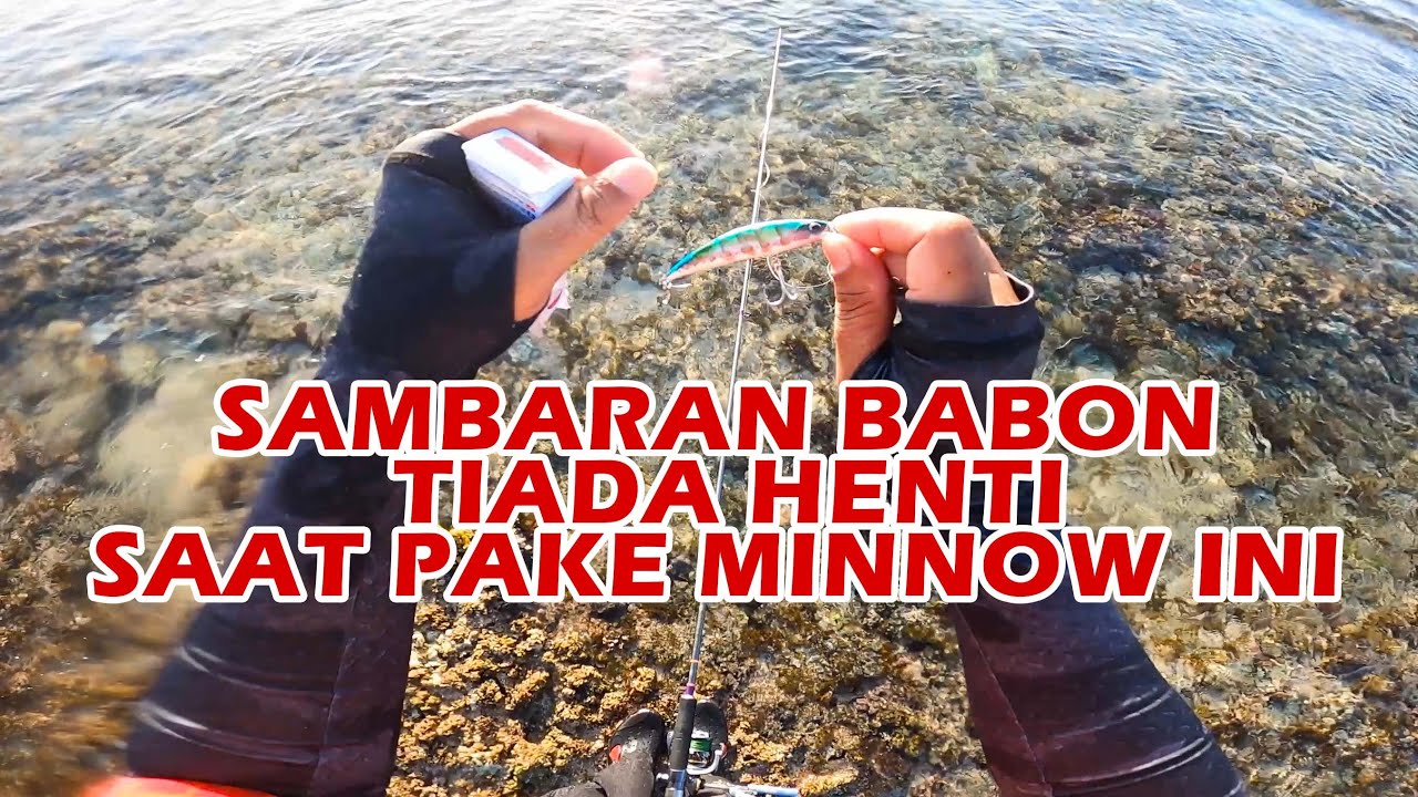 Resiko Pake Minnow Killer, Set Tackle Jutaan Rupiah Melayang Dibawa Babon 