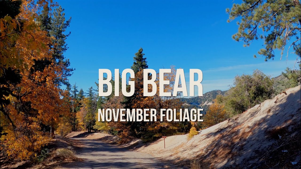 November Foliage in Big Bear, CA 🍂🍁 | Autumn Colors in the Mountains  #travel #mountains #nature