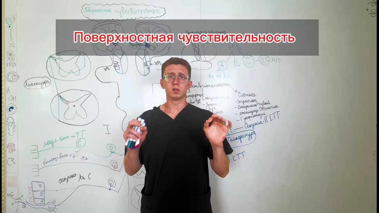 Как мозг чувствует боль и прикосновения? Проводники поверхностной чувствительности